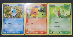 Pokemon First Partner JUMBO Hoenn Starters: Treecko, Torchic, Mudkip - Near Mint - Image 1