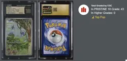 *POP 43* CGC Pristine 10 - 2024 Pokemon Stellar Crown Meditite #153 - Image 3