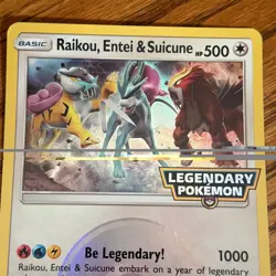 2018 Pokemon Raikou Entei & Suicune Legendary Oversized JUMBO Black Star Promo - Image 2