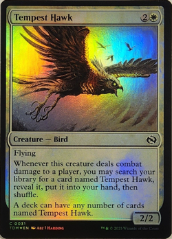 MTG - Tempest Hawk - Foil - TDM 0031 - Tarkir: Dragonstorm - Magic the Gathering - Image 1