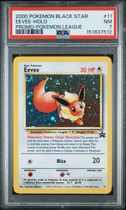2000 Pokemon TCG Eevee Black Star Promo Holo Pokemon League #11 PSA 7 NM - Image 2