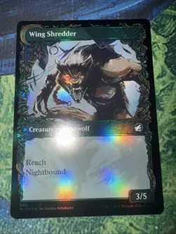 Bird Admirer (Showcase) Innistrad: Midnight Hunt Foil - Image 2