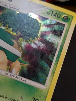 Torterra 17/130 Lv. 45 Holo Diamond & Pearl Pokemon Vintage 2007 MP/HP - Image 4