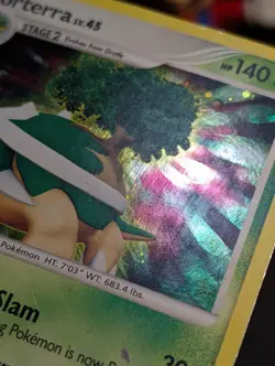 Torterra 17/130 Lv. 45 Holo Diamond & Pearl Pokemon Vintage 2007 MP/HP - Image 5