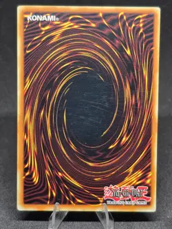 Yu-Gi-Oh! Terraforming SDRL-EN026 Rise of the Dragon Lords 1st Edition NM - Image 2