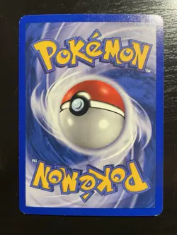 Team Magma’s Houndoom 10/95 Holo LP EX Team Magma vs Team Aqua Pokemon Card - Image 3