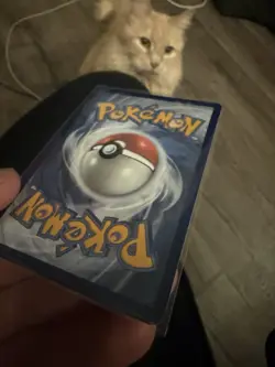 Squirtle Stellar Crown Looks Like A 10 #148 - Image 5