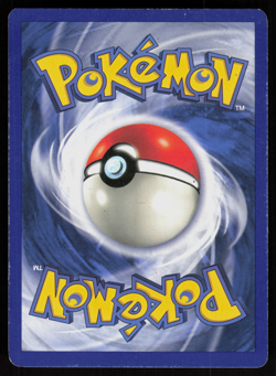 Pokemon Charizard 4/102 Base Set Shadowless Holo Rare Heavily Played - Image 2