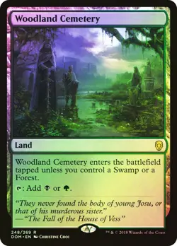 NM+ FOIL MTG Woodland Cemetery Dominaria #248 Magic Card - Image 1