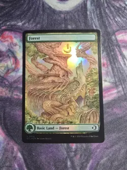 Forest (0278) Lorwyn Eclipsed Foil - Image 1