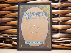 MTG Plains 0253 SURGE FOIL BASIC LAND | NM Near Mint | TMNT | 2026 - Image 2