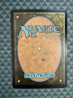 MTG Forest #1943 Rainbow Foil Rare Secret Lair Drop Series (SLD) - Image 3