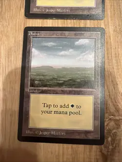1993 MTG Magic The Gathering Beta White Knight 3X Plains - Image 4