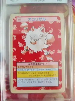 Pokemon Card Rasaff Primeap Topsun Bandai 1995 Japanese PGS PSA 9 Green Back - Image 3