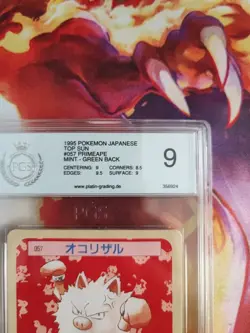 Pokemon Card Rasaff Primeap Topsun Bandai 1995 Japanese PGS PSA 9 Green Back - Image 4
