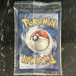 Eevee Vmax Pokemon SWSH087 Shining Fates Black Star Promo Holo Sealed - Image 2