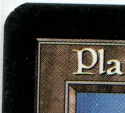 Magic: The Gathering - Guru Land, Plains Lightly Played MTG LP cEDH - Image 5