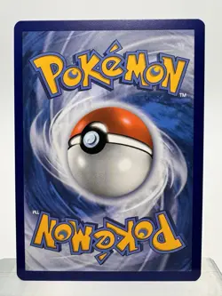 Tepig 13/25 Holo Pokemon Card 25th Anniversary McDonalds Promo 2021 NM - PTCG - Image 2
