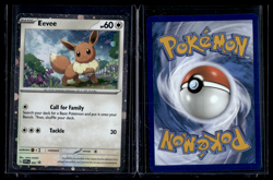 Pokemon Card TCG - Eevee SVP 043 - BLACK STAR PROMO Holo Obsidian Flames - Image 1