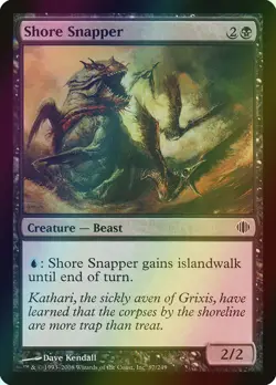 MTG Shore Snapper Foil ** Shards of Alara ** English - Image 1
