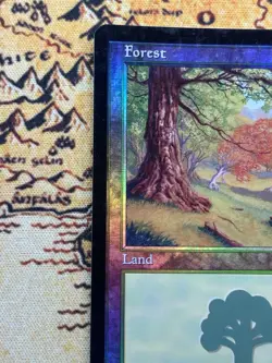 MTG Magic the Gathering - Forest (349) - Foil - Odyssey - Print Line Error NM - Image 5