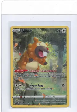 Bidoof GG29/GG70 Crown Zenith Galarian Gallery Holo Rare Pokemon Card NM - Image 1