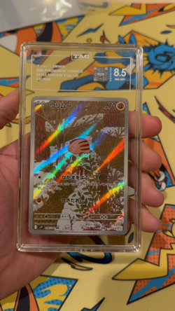 2025 Swinub Pokemon J SV9: Battle Partners 106/100 Graded Card TAG 8.5 Art Rare - Image 2