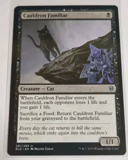 Cauldron Familiar Throne of Eldraine 081/269 Mtg Uncommon Magic The Gathering - Image 1