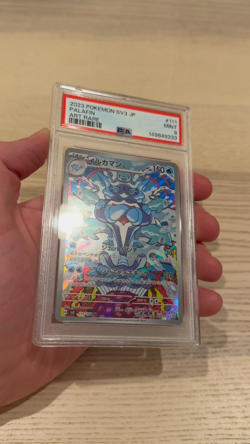 2023 Palafin Pokemon J Sv3-Ruler Of The Black Flame 111 PSA 9 MINT Art Rare - Image 2