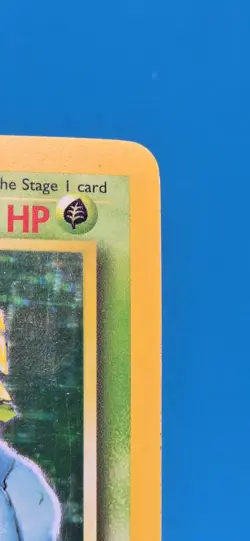 Pokemon TCG Venusuar Base Set 1999 Holo Rare Unlim Foil Wizards WOTC B4 - Image 5