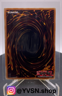 Yugioh! Winged Kuriboh DP1-EN005 Rare 1st Edition NM/M - Image 2