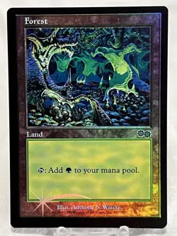 Forest - (1999) Arena Promos Foil ~LP~ Magic The Gathering MTG - Image 1