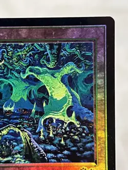Forest - (1999) Arena Promos Foil ~LP~ Magic The Gathering MTG - Image 4