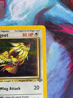 Pidgeot LP 1st Edition Jungle Holo Rare 8 Pokemon Vintage Wizards WOTC 1999 - Image 4