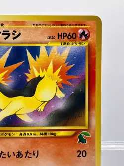 Pokemon card Neo Cyndaquil No.155 #16 Intro Pack Chikorita mark Japanese EX+! - Image 5