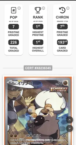 Pokemon TAG Graded 10 Pristine Rockruff CHR VMAX Climax 202/184 Japanese - Image 2