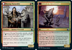 x1 Kessig Naturalist // Lord of the Ulvenwald NM, MTG Innistrad: Midnight Hunt - Image 1
