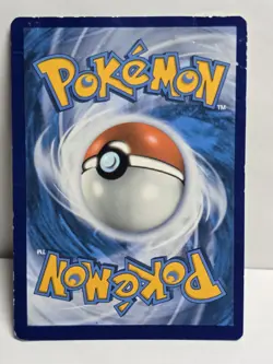 The Pokemon Company Pikachu SWSH039 SWSH Promo Holo English 60 HP - Image 3
