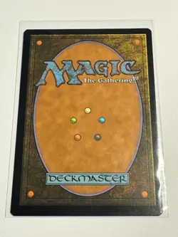Forest (Showcase) Dominaria United Foil MTG NM - Image 2
