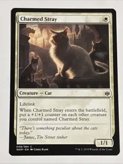 MTG War of the Spark Charmed Stray 008/264 NM - Image 1
