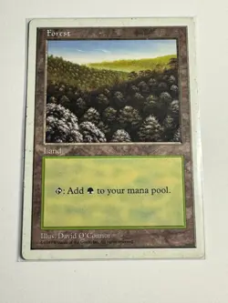 Forest (446) MTG Core Set 5th Edition Regular MP VTG - Image 1
