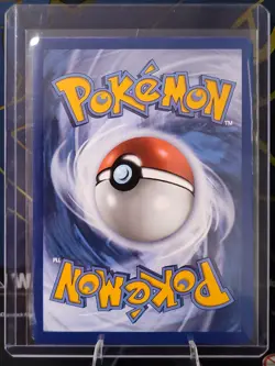 Pokemon First Partner Illustration Collection MEP Charmander - Image 3