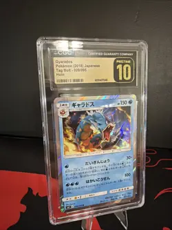 Pokemon Gyarados CGC Pristine 10 Rare Holo Sm9 Tag Bolt 028/095 2018 Japanese - Image 3