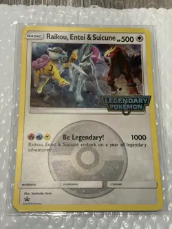 Raikou, Entei & Suicune Jumbo Card Legendary Pokemon Black Star Promo - Image 2