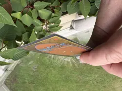 MTG Antiquities Edition, Candelabra of Tawnos! 1994 Vintage Magic. Ink on edge. - Image 3