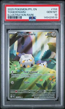 Togedemaru 104 Pokemon Phantasmal Flames Illustration Rare PSA 10 GEM MINT Card - Image 1