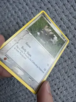 Zigzagoon 74/106 Common Emerald Pokemon NEAR MINT VERY NICE - Image 2
