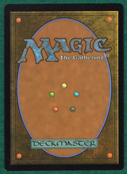 Fifty Feet of Rope - Adventures in the Forgotten Realms AFR #244 -Magic MTG Card - Image 2