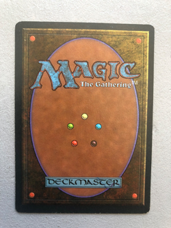 Mtg Carte Magic Fbb White Knight French LP/MP - Image 2