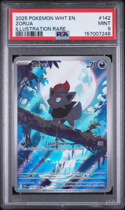 2025 POKEMON WHT EN-WHITE FLARE ILLUSTRATION RARE #142 ZORUA PSA 9 - Image 1